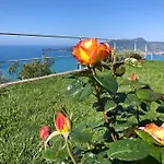 Rosso Su Portofino Chiavari